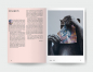 Preview: Eckart Hahn Papiertiger